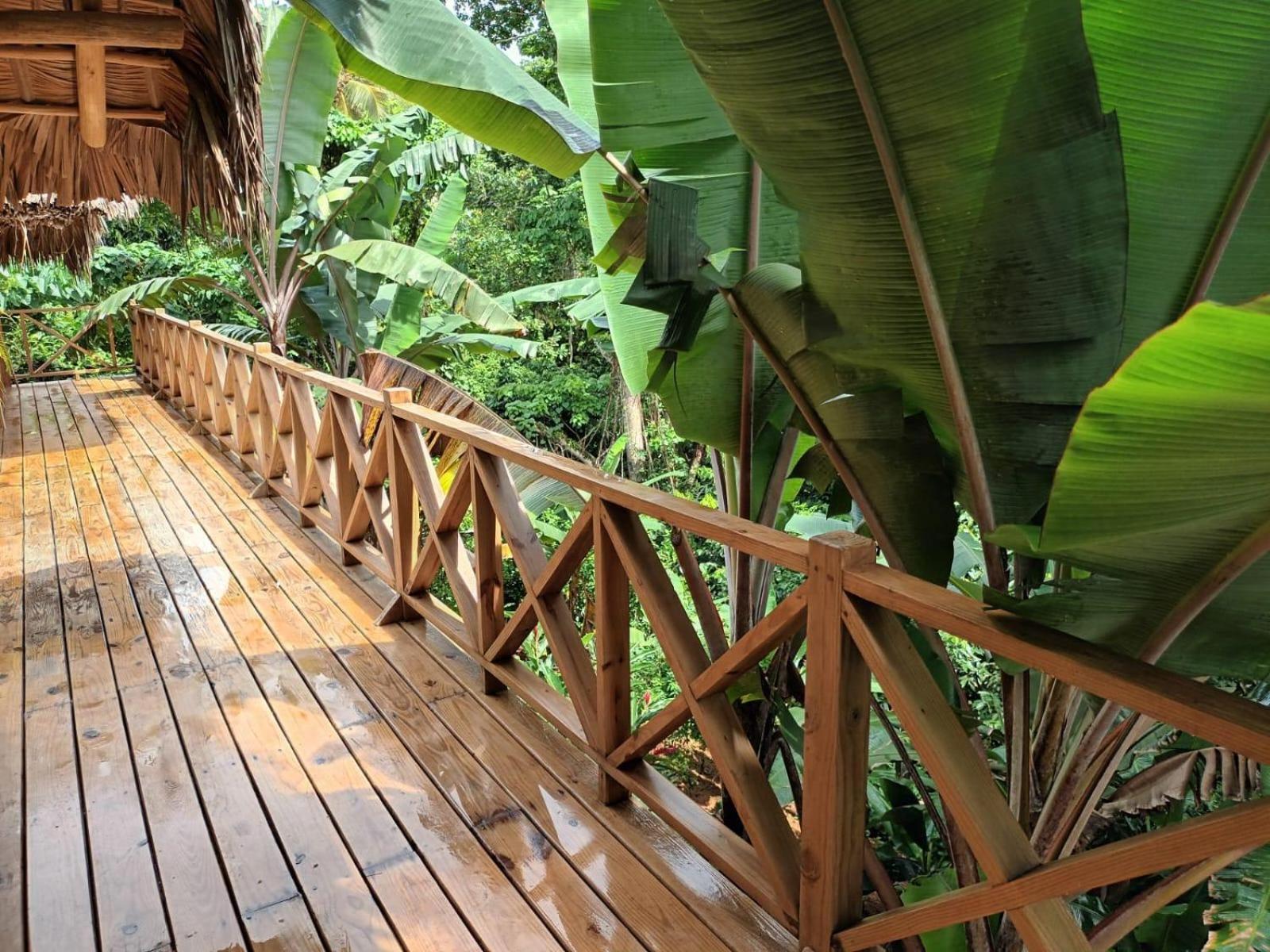 Samo Eco Lodge Las Terrenas Exteriör bild