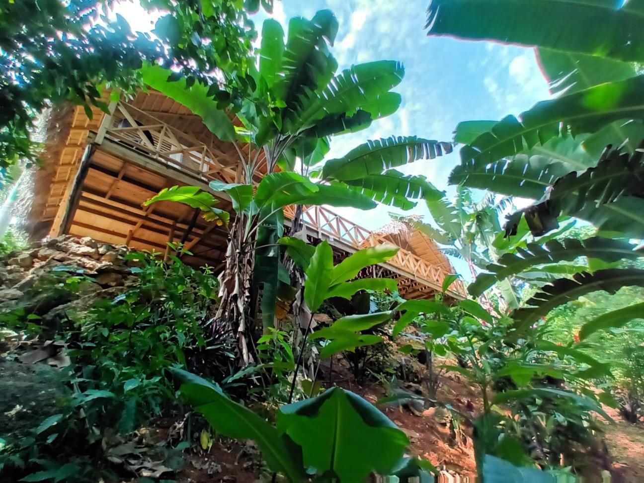 Samo Eco Lodge Las Terrenas Exteriör bild