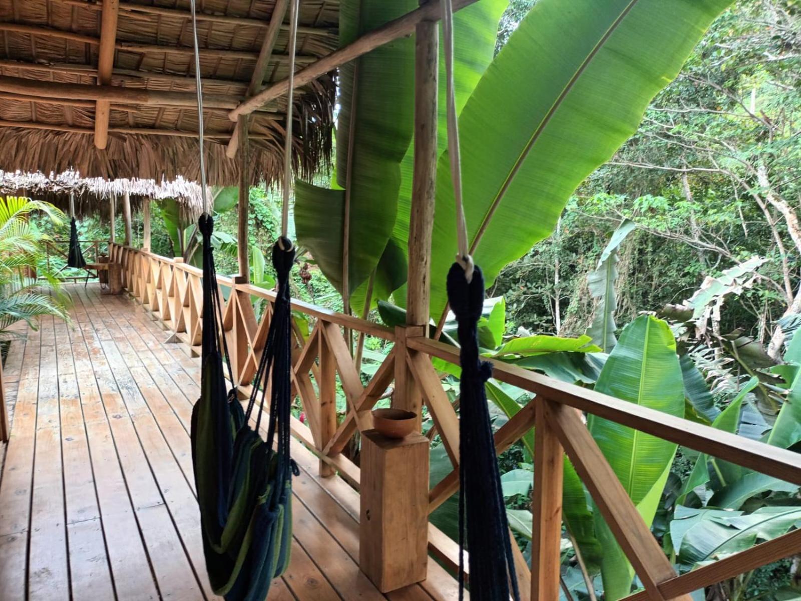 Samo Eco Lodge Las Terrenas Exteriör bild